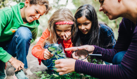 Neue Fortbildungen der Stiftung Kinder forschen für 2025/2026
