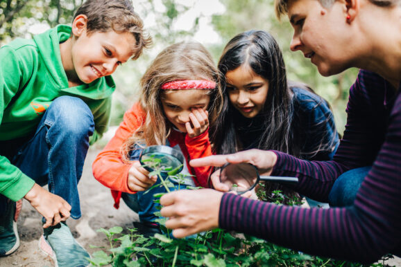 Neue Fortbildungen der Stiftung Kinder forschen für 2025/2026