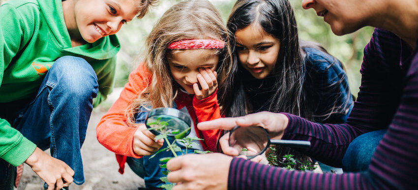 Neue Fortbildungen der Stiftung Kinder forschen für 2025/2026